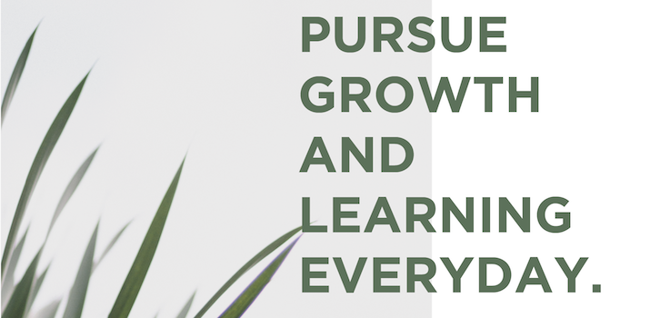 Pursue Growth and Learning, Core Values